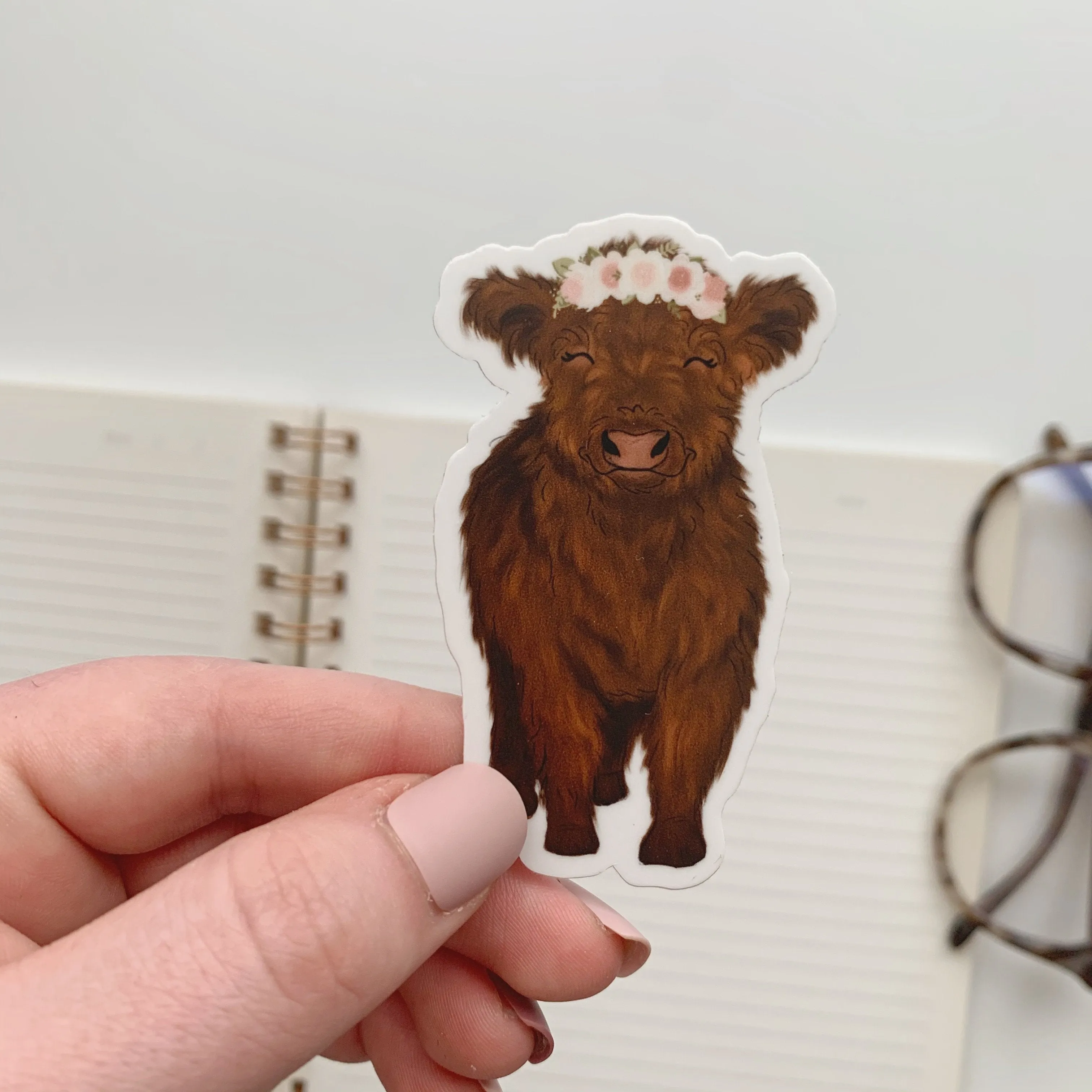 Baby Highland Cow Sticker