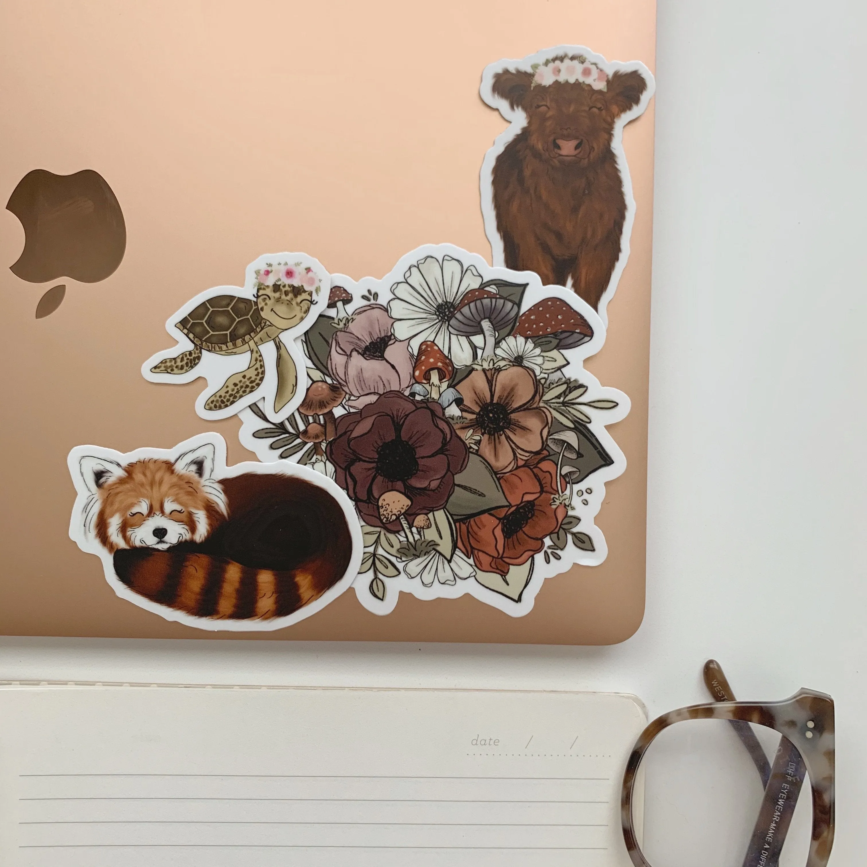 Baby Highland Cow Sticker